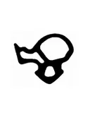 Window seals for the frame 2171 TPE